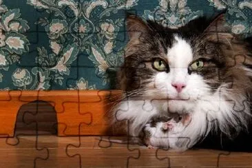 Cat and Mouse Friendship jigsaw puzzle