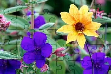 Colorful Flowers in Bloom Background  jigsaw puzzle