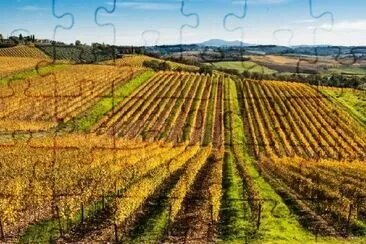 Chianti vignards, Tuscany, Italy jigsaw puzzle