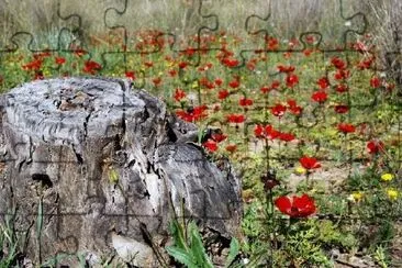 Stump and Flowers jigsaw puzzle