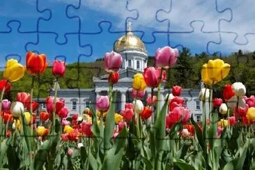 Montpelier Capital building, Virginia, USA jigsaw puzzle