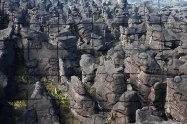 羅賴馬山風景