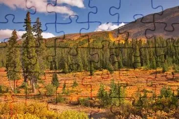 Evergreen Fur-Trees jigsaw puzzle