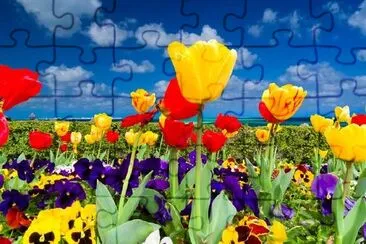 Tulips by the Sea jigsaw puzzle