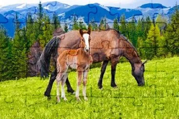 Young Foal and Mare on Meadow at Mountains jigsaw puzzle