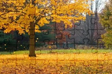 Falling Leaves jigsaw puzzle