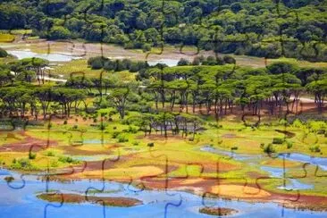 A Forest on a Lake jigsaw puzzle