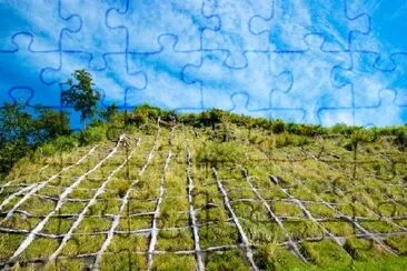 Hillside Net jigsaw puzzle