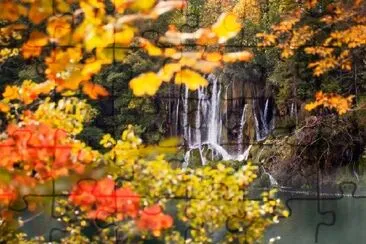 Cachoeira na Folhagem