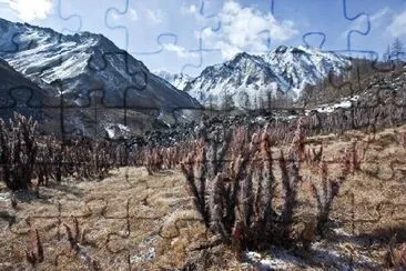 Paesaggio di montagna