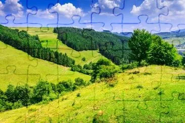 Pine Forest on a Mountain Slope jigsaw puzzle