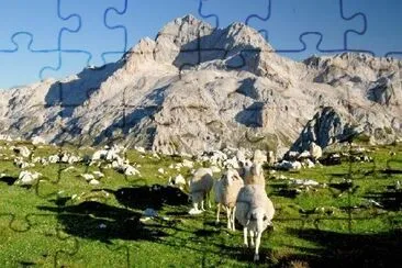 Moutons dans les montagnes