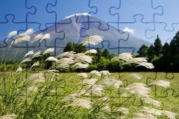 Plume Grass jigsaw puzzle