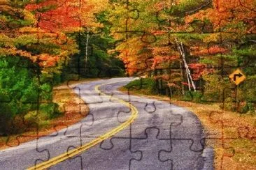 Winding Autumn Road