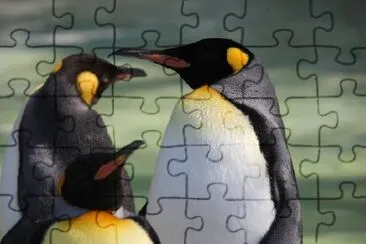 Penguins jigsaw puzzle