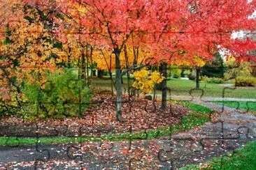 Autumn Walkway jigsaw puzzle