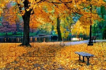 Automne à Boston Public Garden