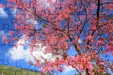 Pink Sakura Cherry Blossom Flowers jigsaw puzzle