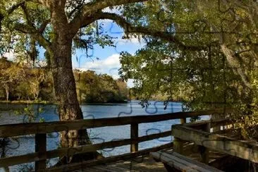 Suwannee River Boardwalk、ジョージア、米国