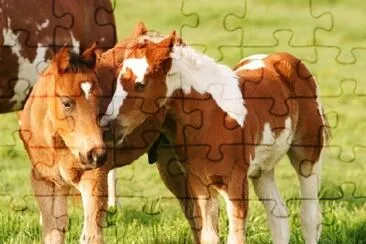 Little Horse Pals jigsaw puzzle