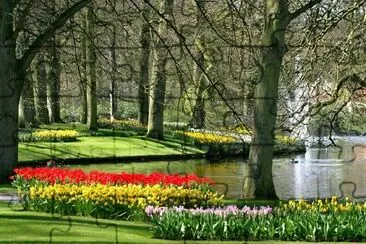 Primavera en el parque