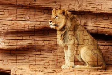 Lion Gazing jigsaw puzzle