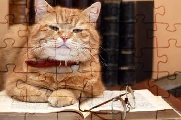 Cat  on a Table jigsaw puzzle