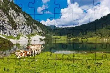 Pasture in the Mountains with a Group of Cows jigsaw puzzle