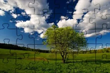 Arbre de printemps unique et ciel bleu