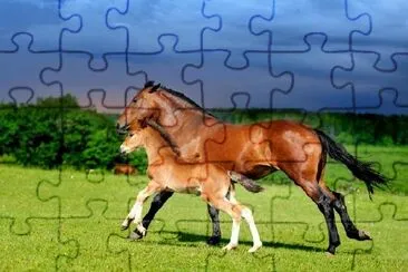 Horses Running in the Medow jigsaw puzzle