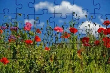 Red Flowers in a Meadow jigsaw puzzle