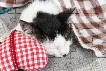 Sleeping Kitten on Blanket jigsaw puzzle