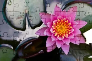 Pink Lilies jigsaw puzzle