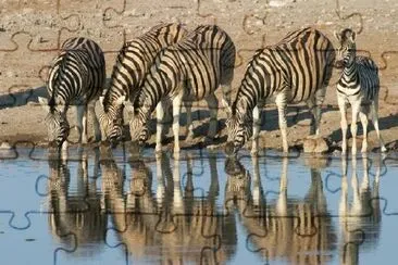 Zebras with Foal jigsaw puzzle