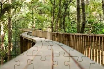 Pedestrian Bridge in New Zealand Forest jigsaw puzzle