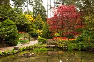 Acero Rosso Nel Giardino Di Primavera