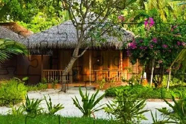 Bungalow in the Jungle jigsaw puzzle