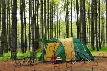 Camping en bosque de pinos