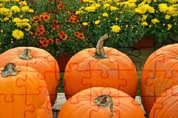 Pumpkins with Fall Mums  jigsaw puzzle