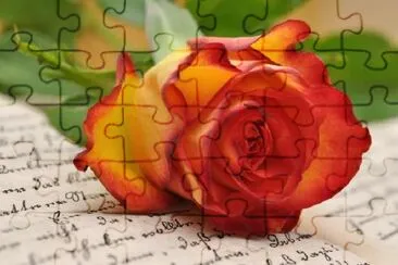 Diary and Rose jigsaw puzzle