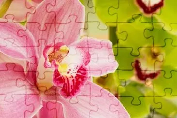 Pink Orchids jigsaw puzzle