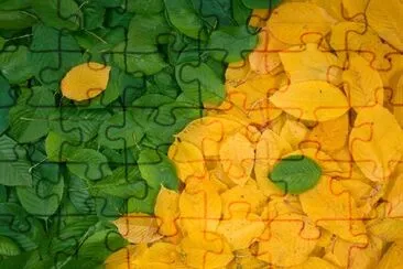 Green and Yellow Leaves jigsaw puzzle