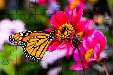 Butterfly on a Flower jigsaw puzzle