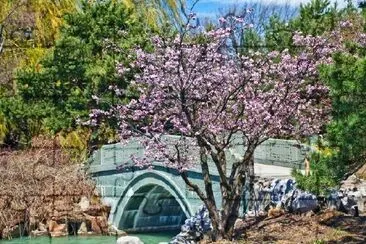 Japanischer Garten