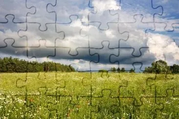 Overcast Sky on a Field of Flowers jigsaw puzzle