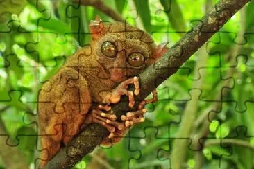 Tarsier on a Tree jigsaw puzzle