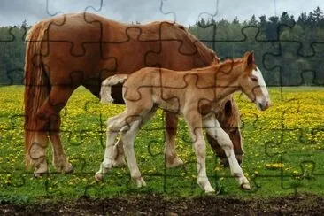 Mamá y potro de tres días