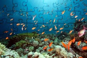 Ocean, Sun, Fish and Coral jigsaw puzzle