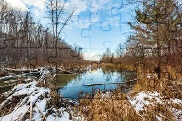 Fluss unter dem blauen Himmel im Winter