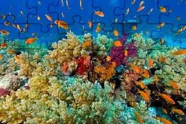 Anthia Reef jigsaw puzzle